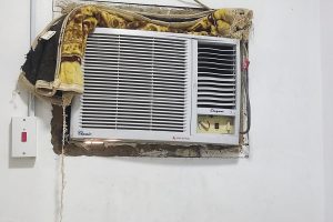 WhatsApp Image 2026-01-09 at 7.53.21 PM