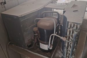 WhatsApp Image 2026-01-09 at 9.20.20 PM